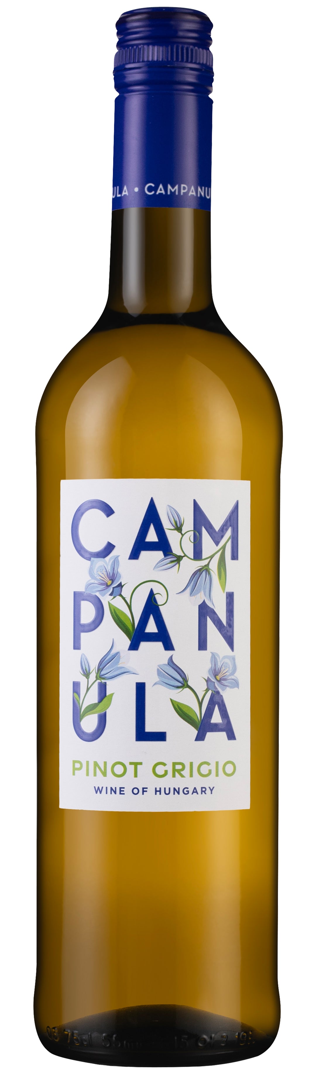 Campanula Pinot Grigio 2023