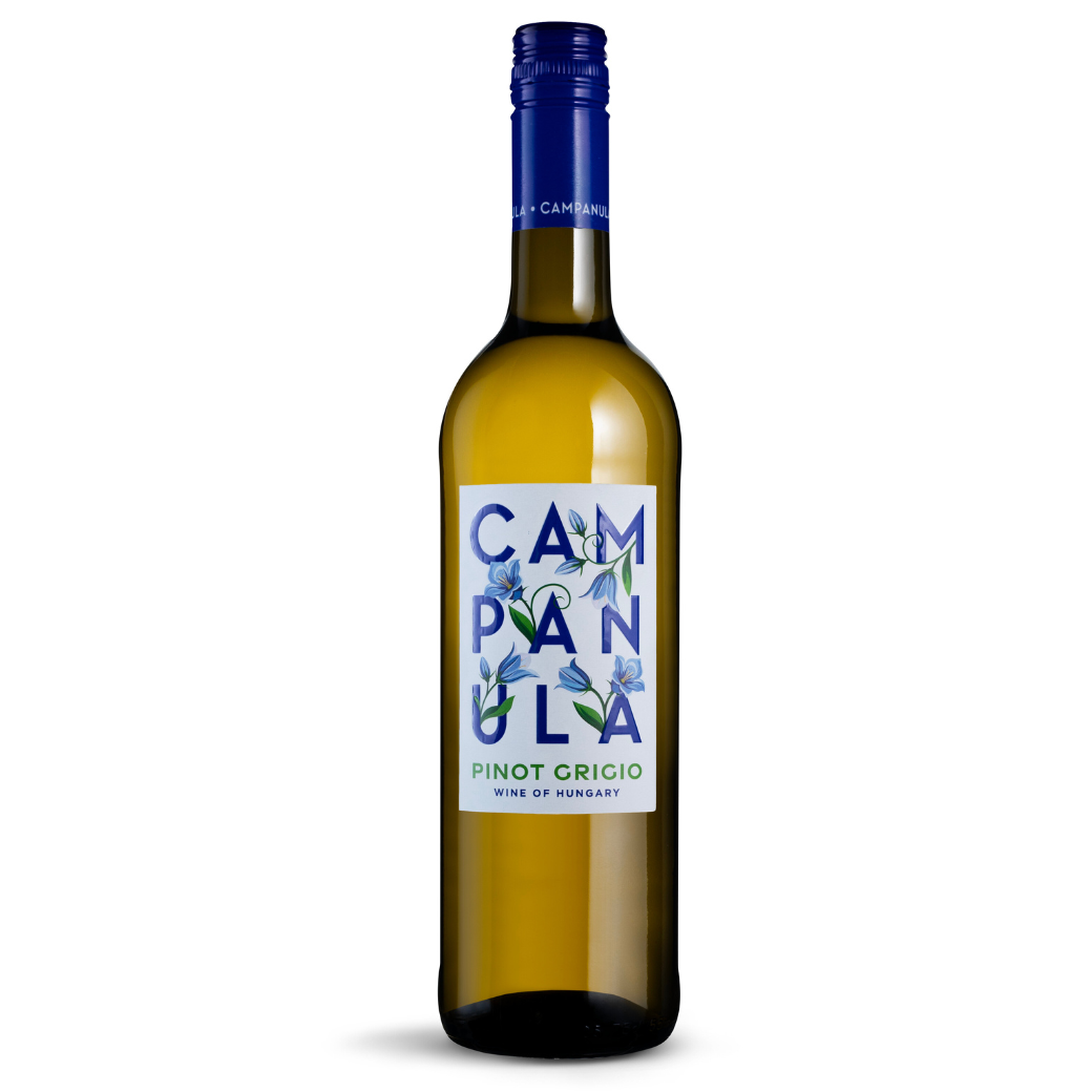 Campanula Pinot Grigio 2024
