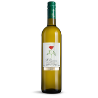 Il Papavero Pinot Grigio 2024