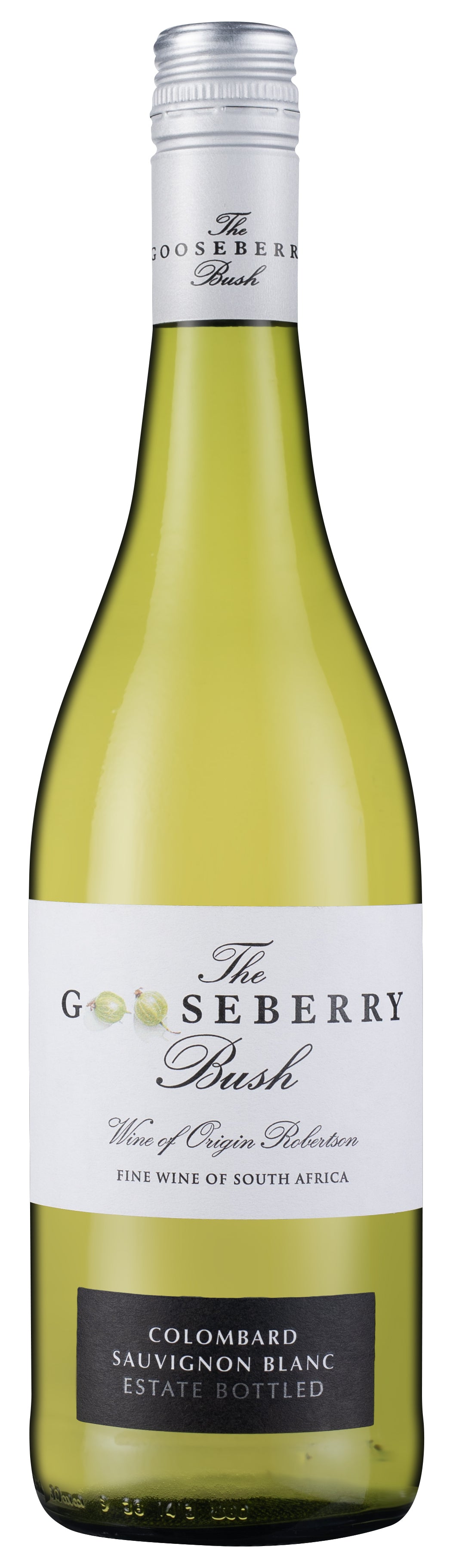 The Gooseberry Bush 2024