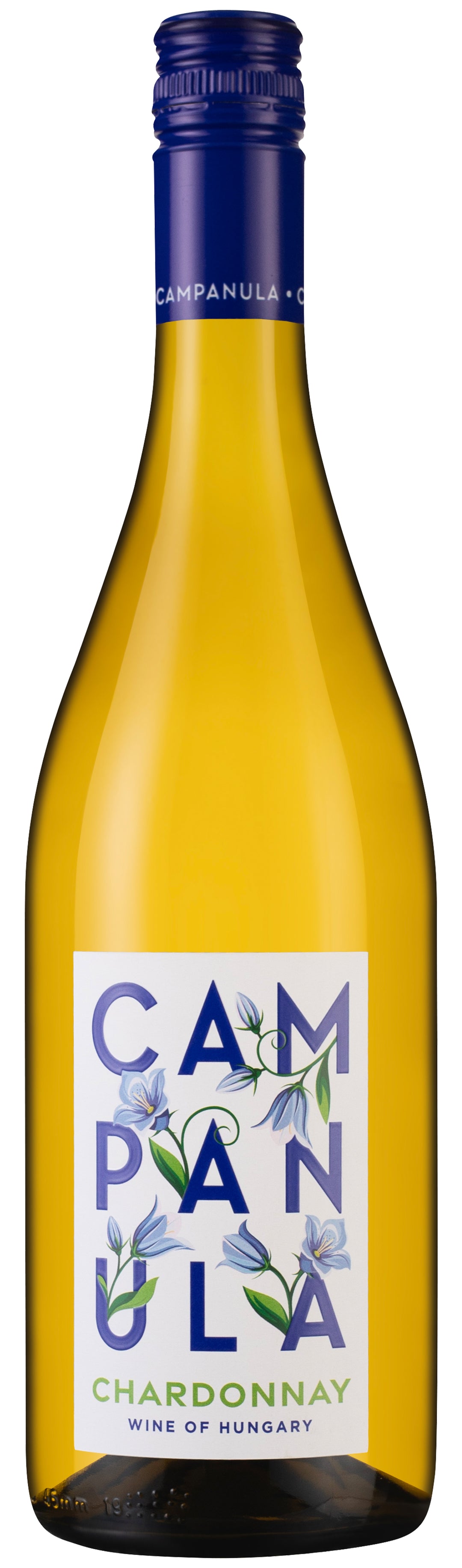 Campanula Chardonnay 2023