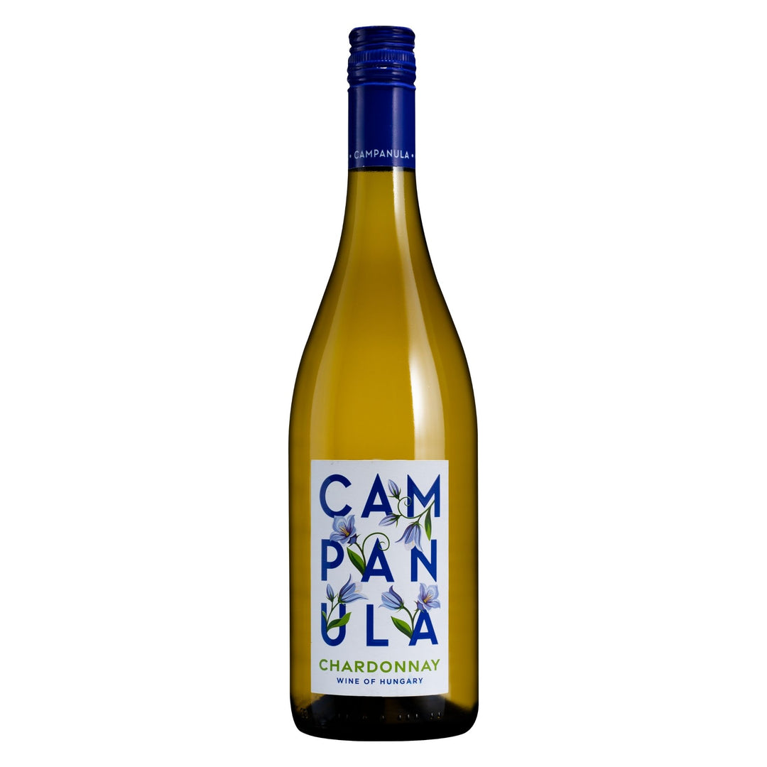Campanula Chardonnay 2024