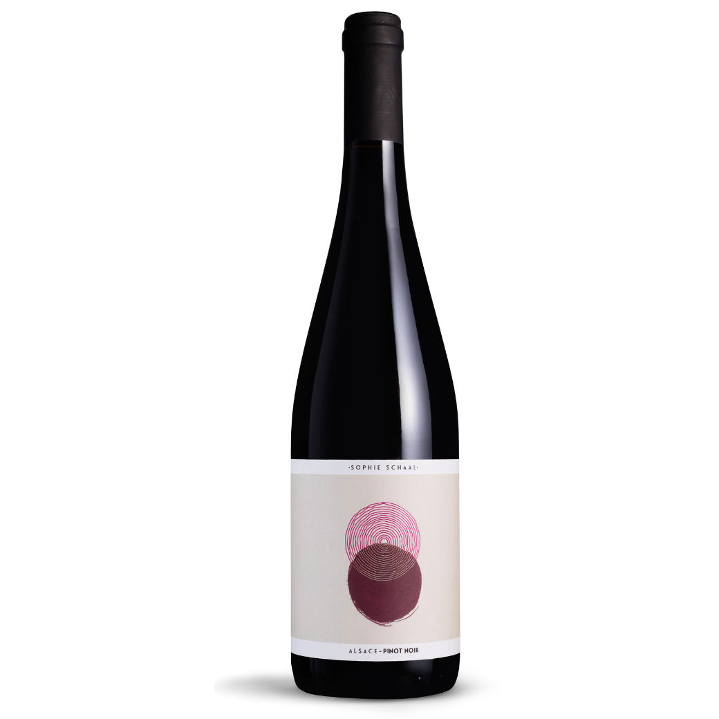 Sophie Schaal Organic Pinot Noir 2024