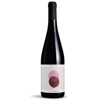 Sophie Schaal Organic Pinot Noir 2024