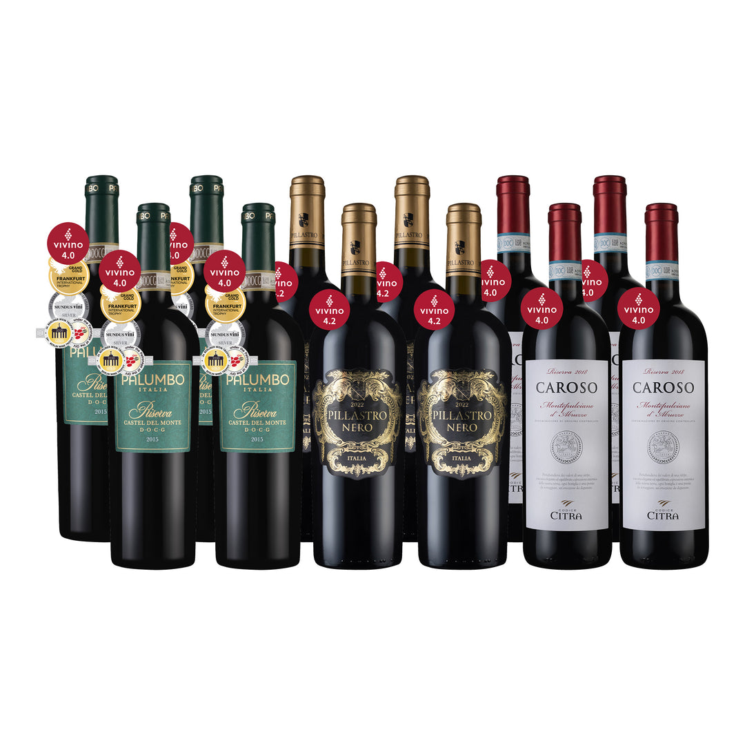 Vivino 4星級★義大利美酒組12瓶