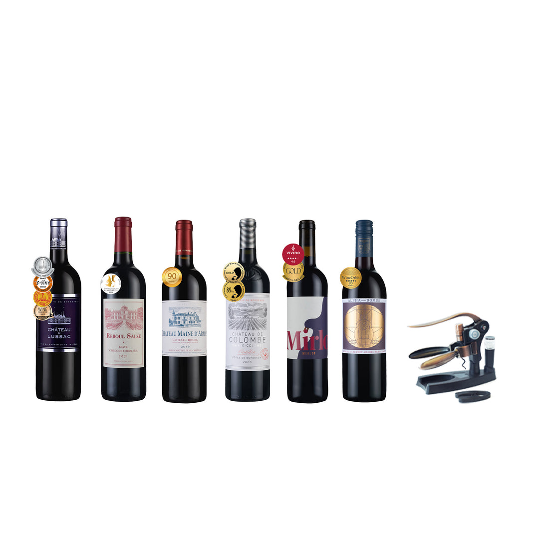 獲獎梅洛酒組6瓶+專業開瓶器乙組