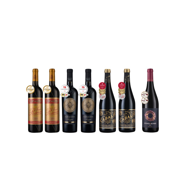 獲獎歐陸紅酒6瓶組+加贈免費90分美酒1瓶