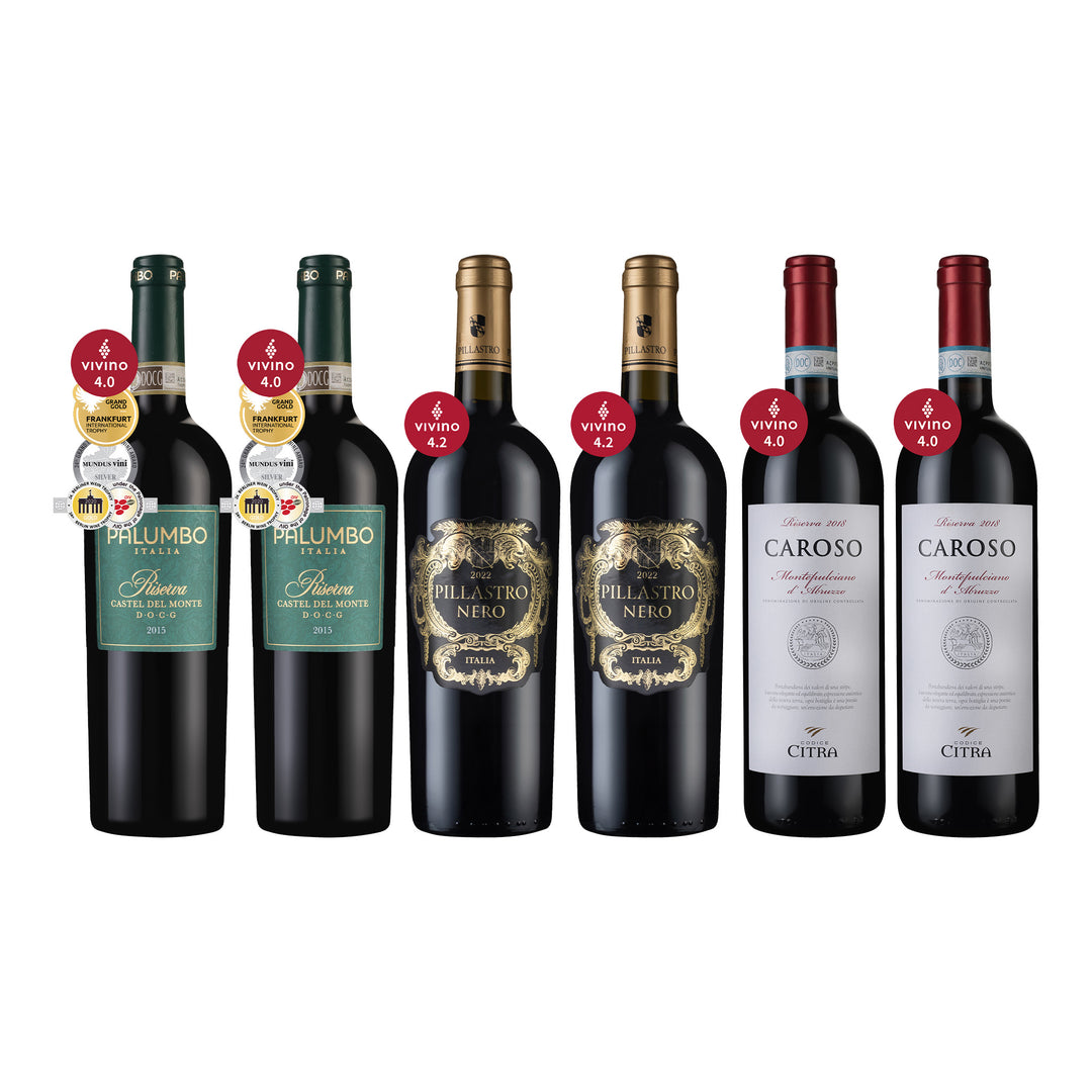 Vivino 4星級★義大利美酒組6瓶