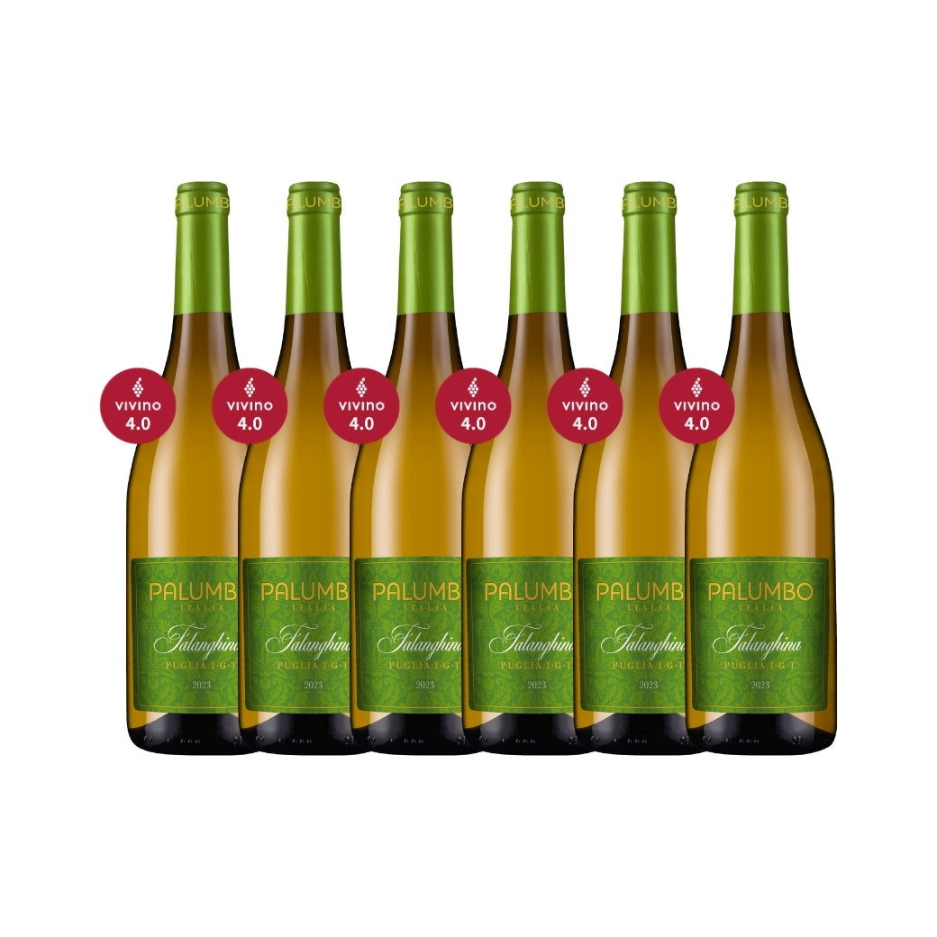 南義 Palumbo Falanghina 2023 6瓶