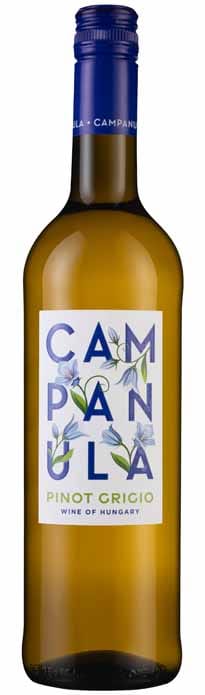 Campanula Pinot Grigio