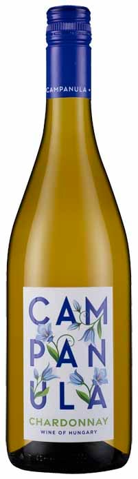 Campanula Chardonnay
